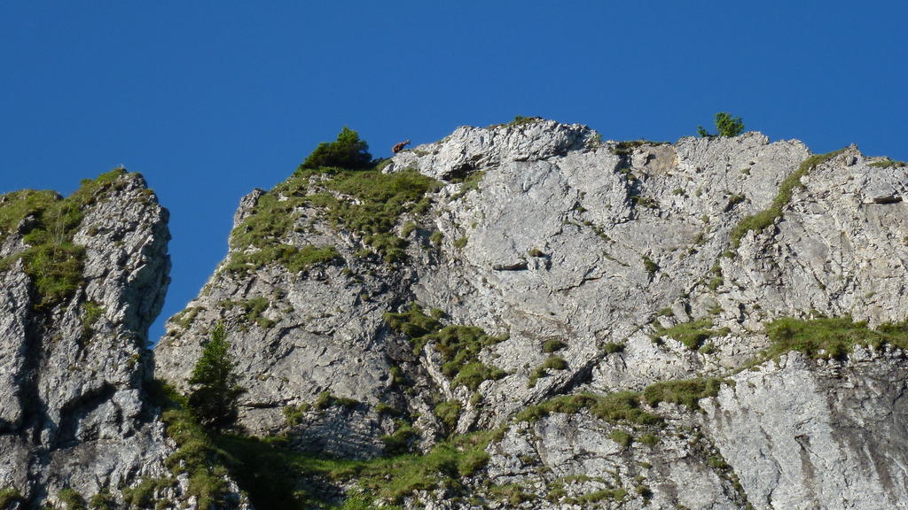 Gaestehaus Christa Obermaiselstein Extérieur photo
